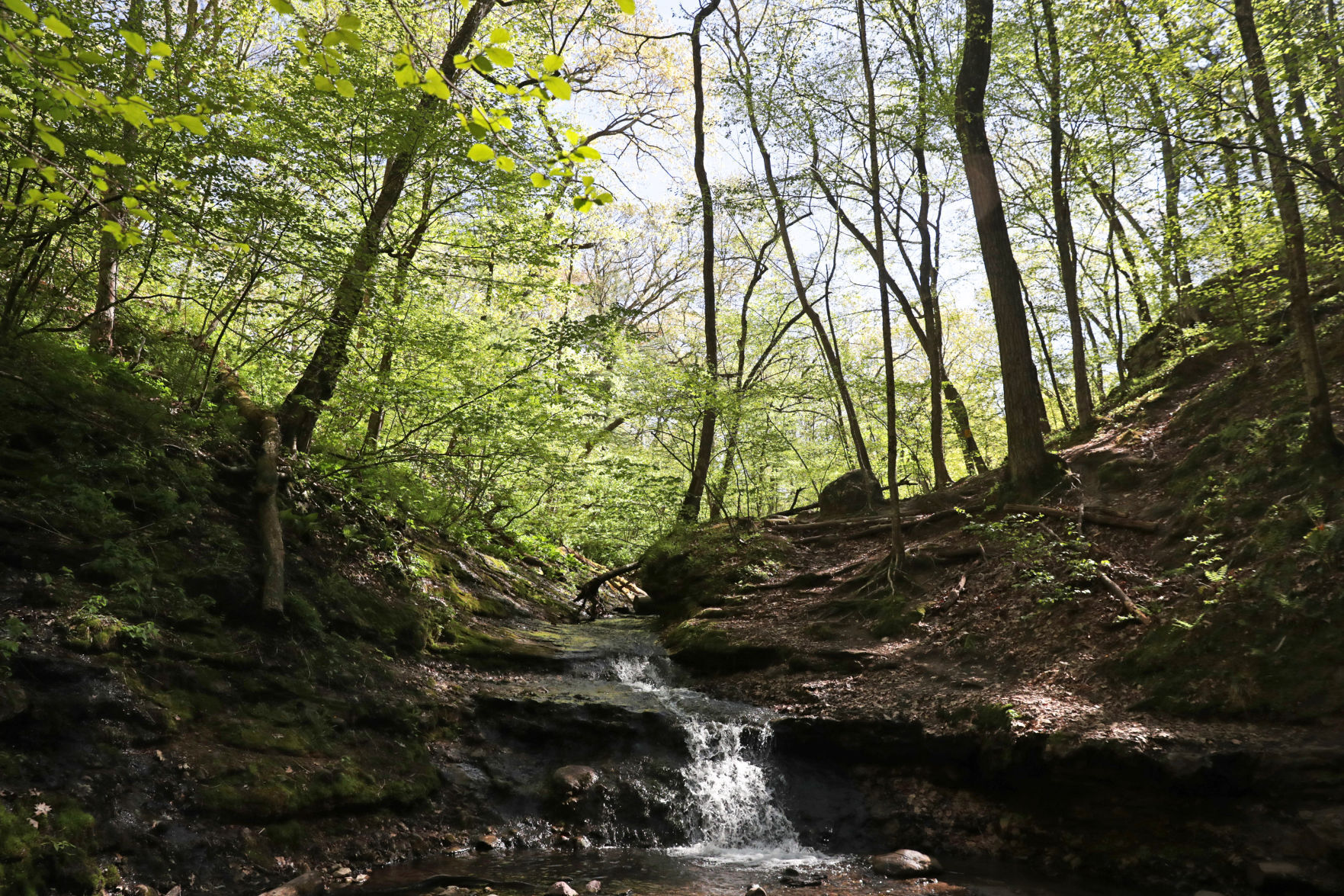 Devils Lake